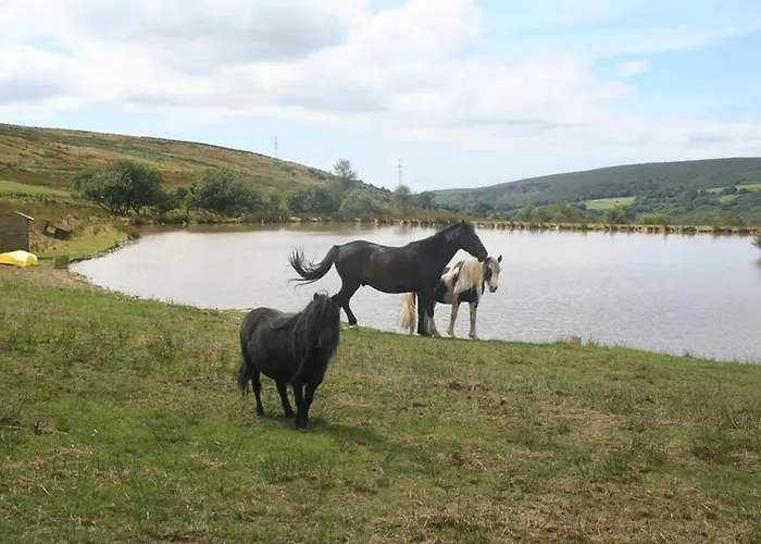 Barn Cottage - Farm Park Stay With Hot Tub