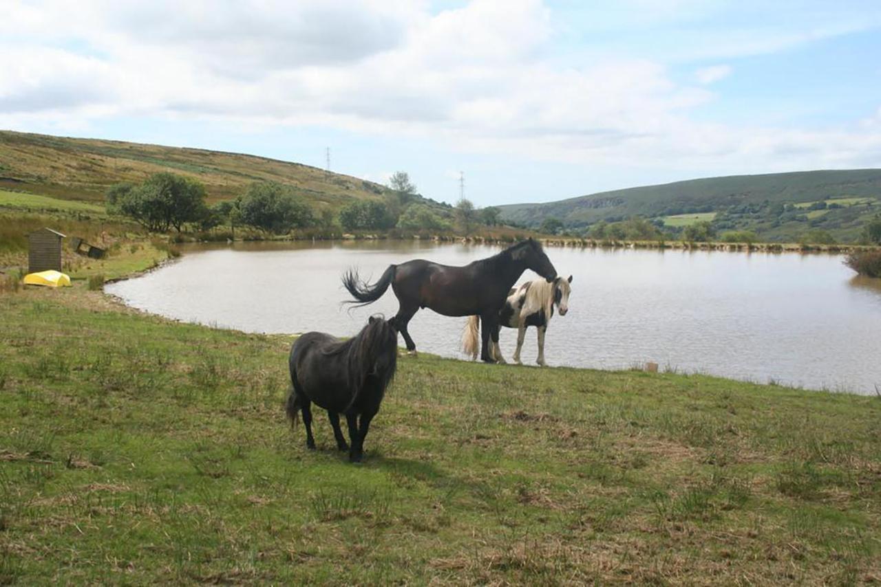 Alojamento de Turismo Selvagem Barn - Farm Park With Hot Tub *