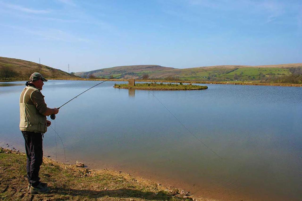 Barn - Farm Park With Hot Tub Alojamento de Turismo Selvagem Swansea